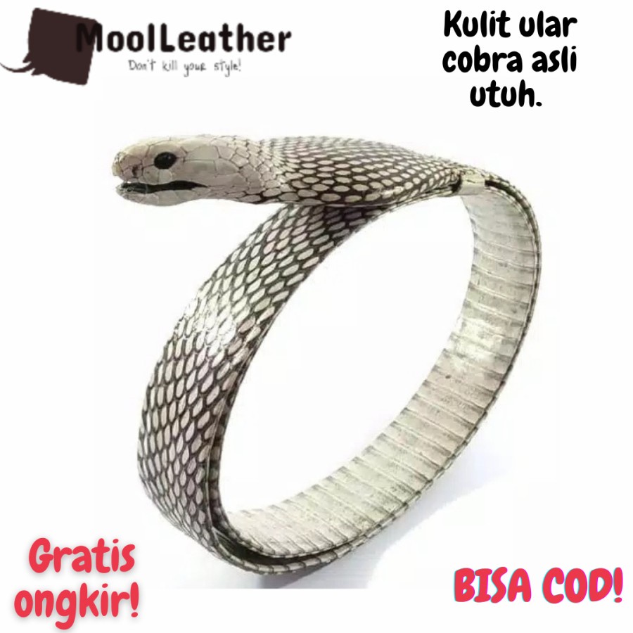 IKAT PINGGANG SABUK PRIA ASLI FULL KULIT ULAR COBRA UTUH KEPALA - Putih