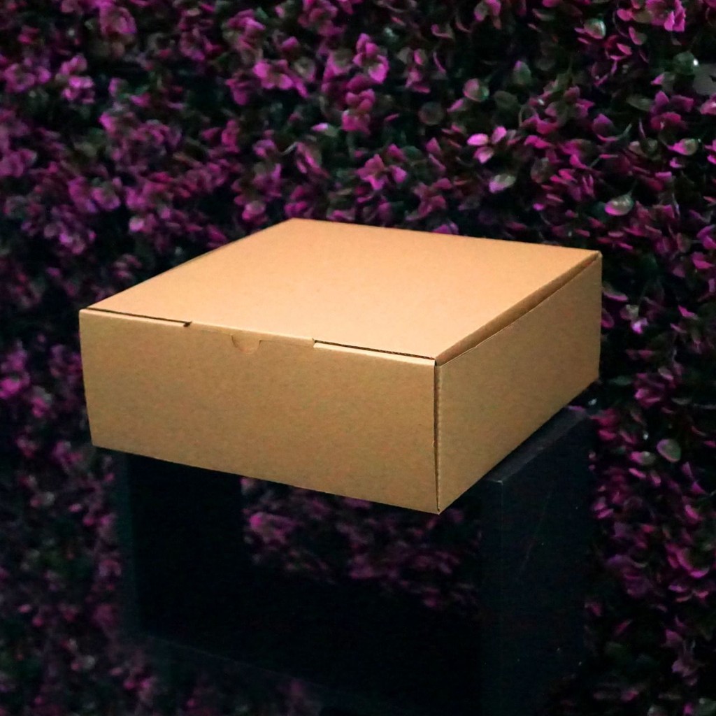 

(Bekasi) Kotak Packaging Polos Tinggi 22 x 22 x 8 cm - Pizza Box - Bentuk Kotak