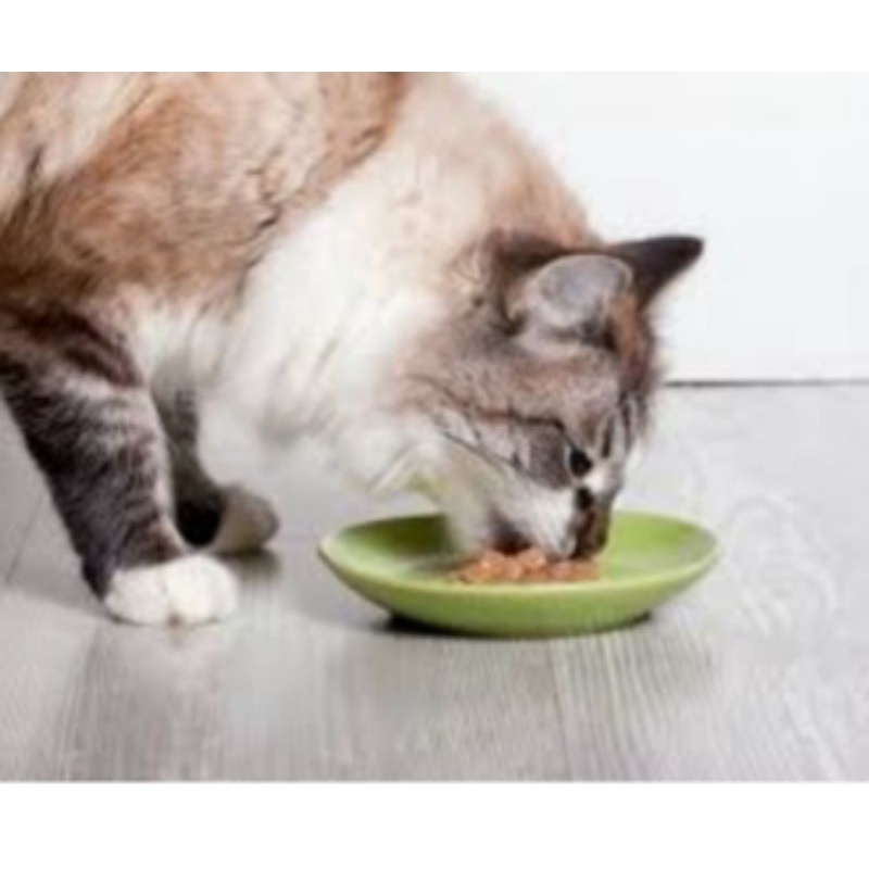 5 Pcs Makanan Basah Kucing Miao Grunt 15 gr | Makanan Ringan Kucing setara MeO Snack Kucing | Vitamin Basah Kucing Cat | Snack