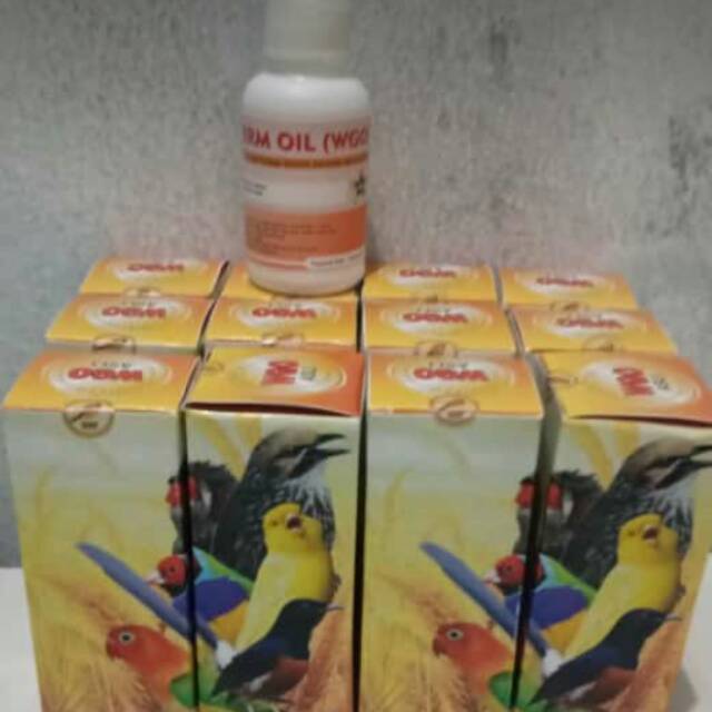 WGO VITAMIN BURUNG CEPAT BERTELUR