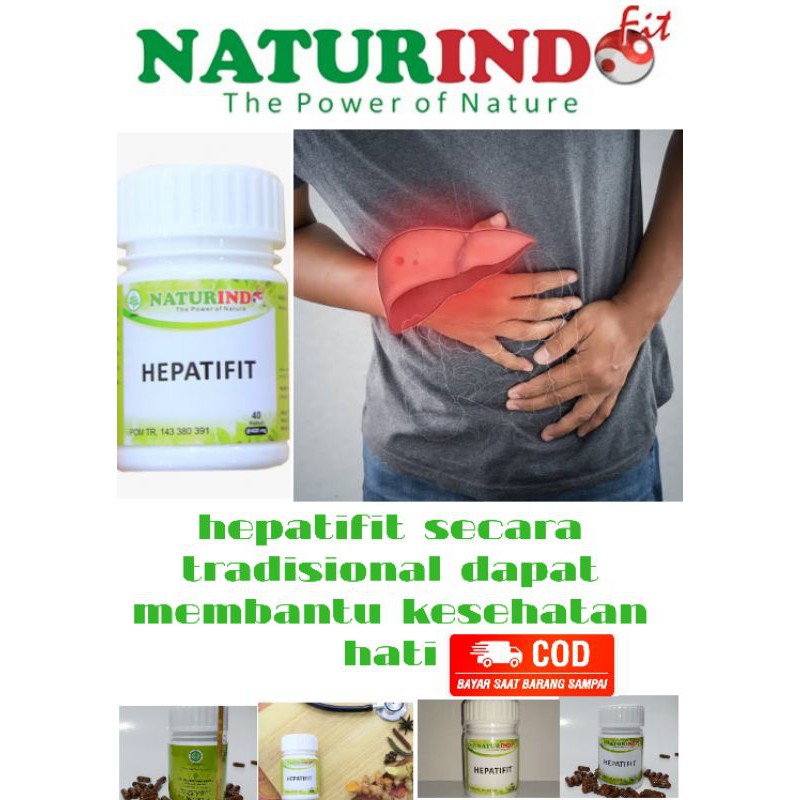 obat alami untuk liver HEPATIFIT NATURINDO