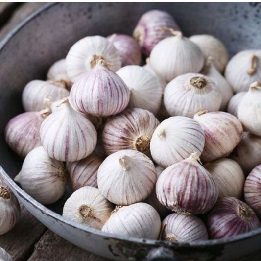 

500GR BAWANG PUTIH TUNGGAL / BAWANG LANANG HERBAL PREMIUM QUALITY /JSR /BAWANG LANANG SUPER