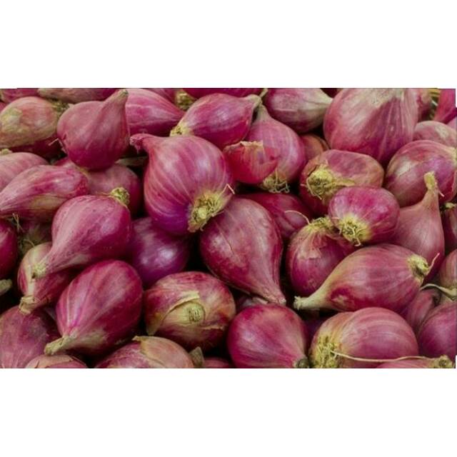 

Bawang merah super Brebes
