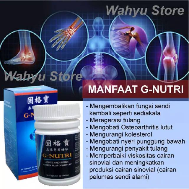 G-NUTRI / Glucosamine G Nutri / Gnutri obat sendi