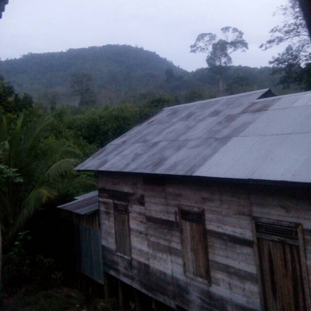 nursyamsiah1122333