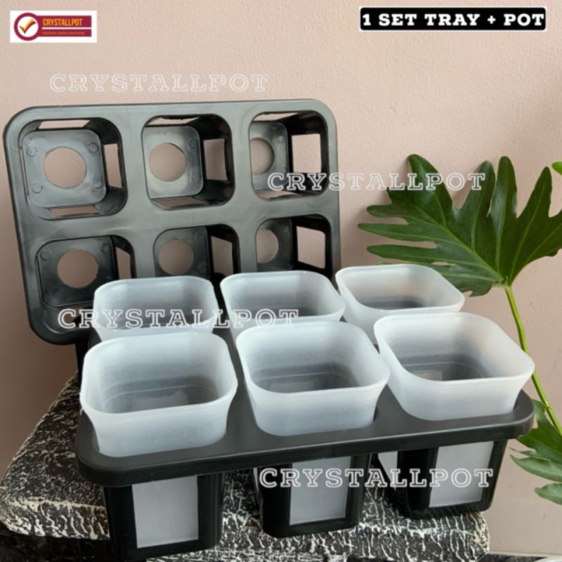 1 set Tray + POT BUNGA NKT KOTAK 7 CM BENING TRANSPARAN | tray semai bibit