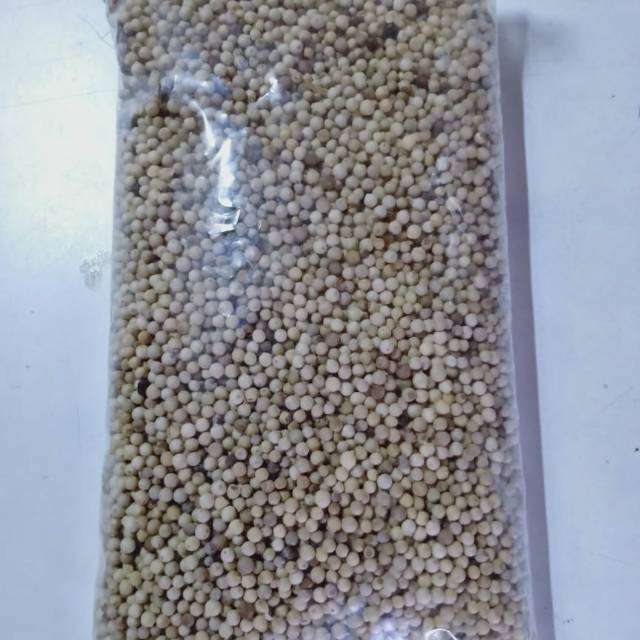 

Biji Lada Putih Singkawang (1kg)
