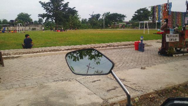 Zpt Paclobutrazol Paclo 15wp Perangsang Buah Bunga Diluar Musim Dan Pembesar Umbi Porang Kentang