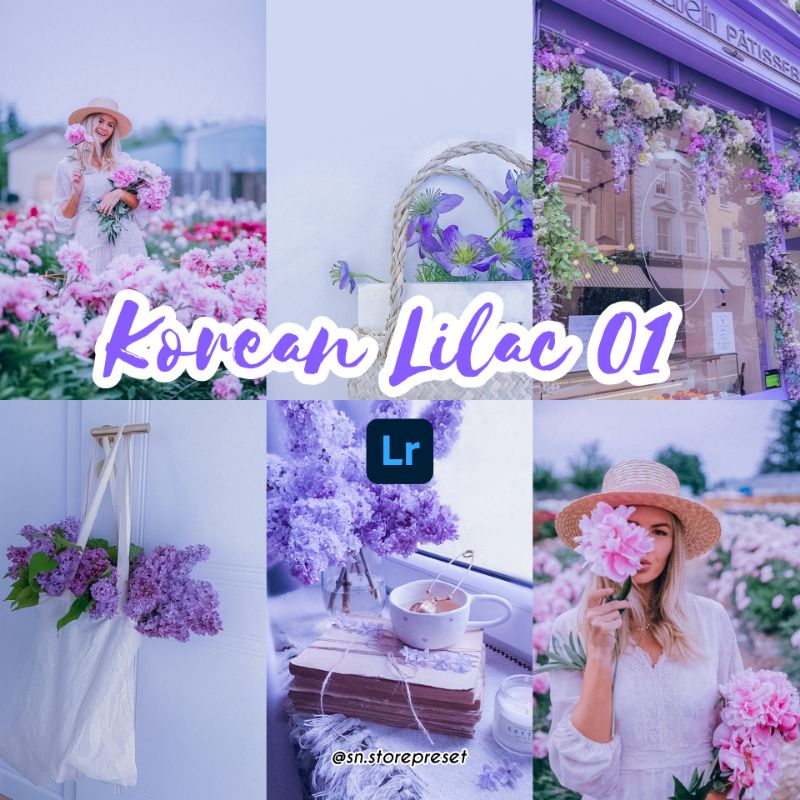 PRESET LIGHTROOM PREMIUM KOREAN LILAC 1 (IOS dan Android)