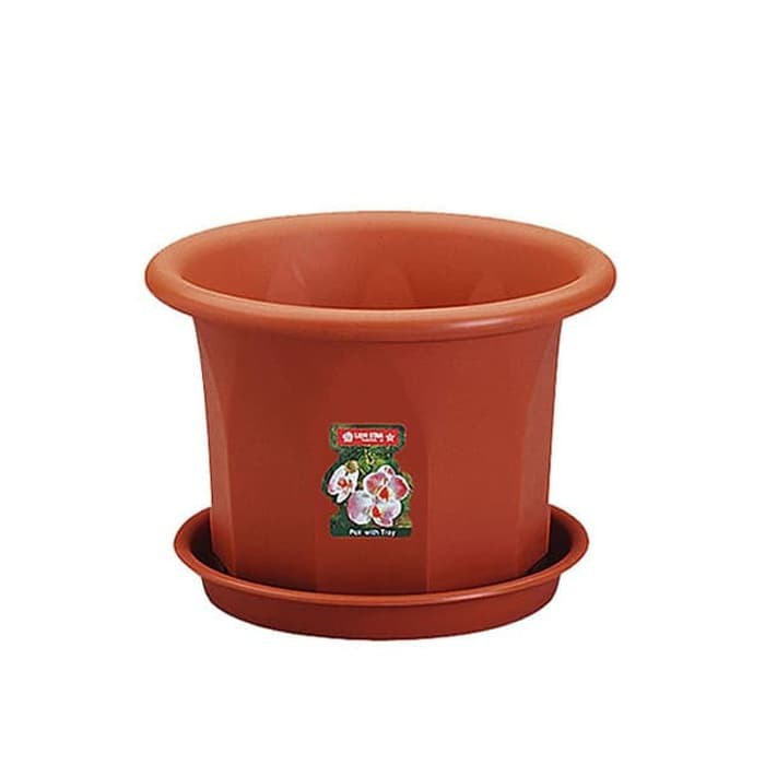  Pot  Bunga  Rose Pot  No 8 Lion  Star  FP21 Shopee Indonesia