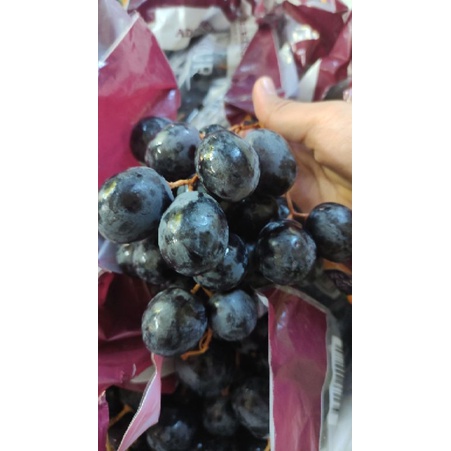 

Anggur Adora [1 kg] Manis Seedles
