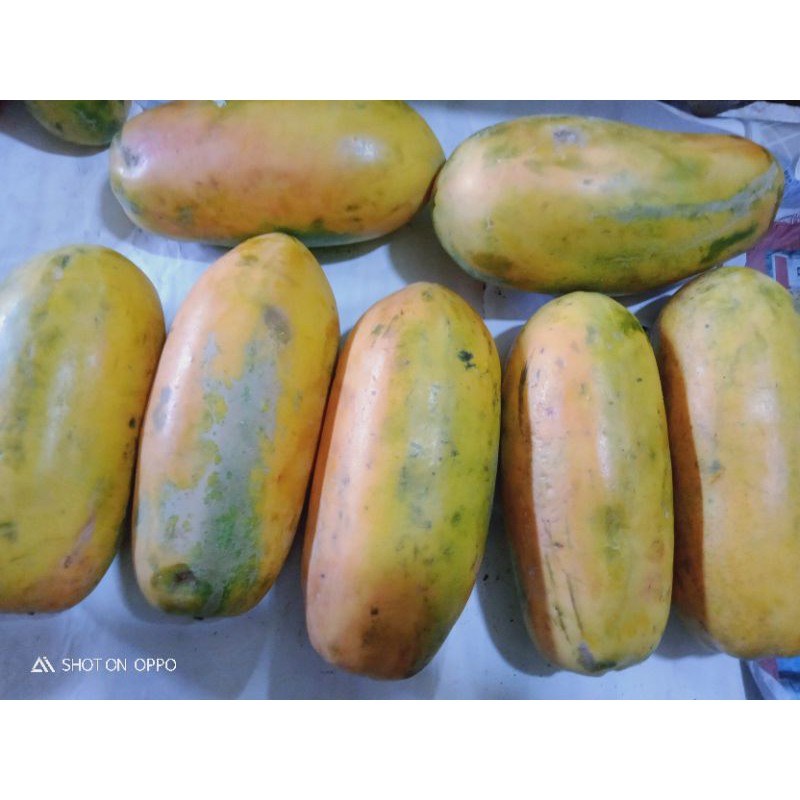 

pepaya California