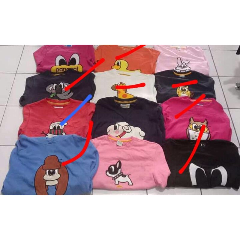 borongan pancoat
