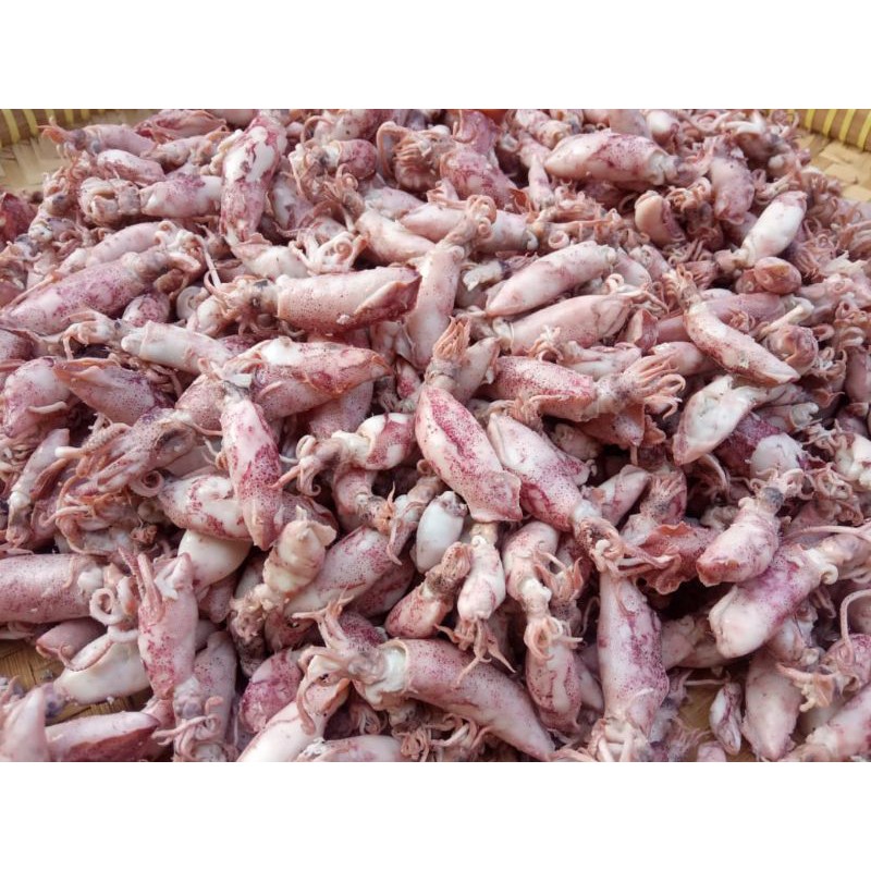 

Baby Cumi Asin 250 gram