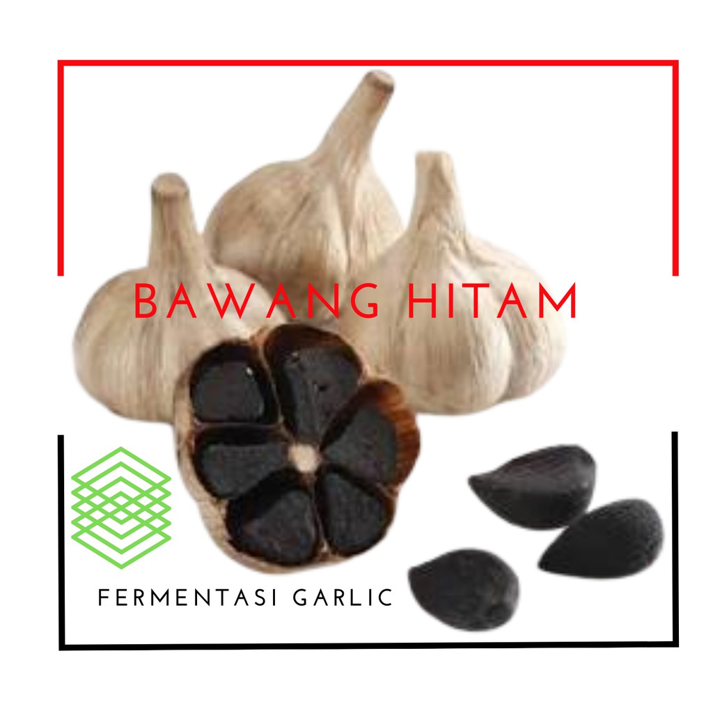 

VIRALLL!! Bawang Hitam Black Garlic Curah Meningkatkan VITALITAS dan STAMINA [BISA COD]