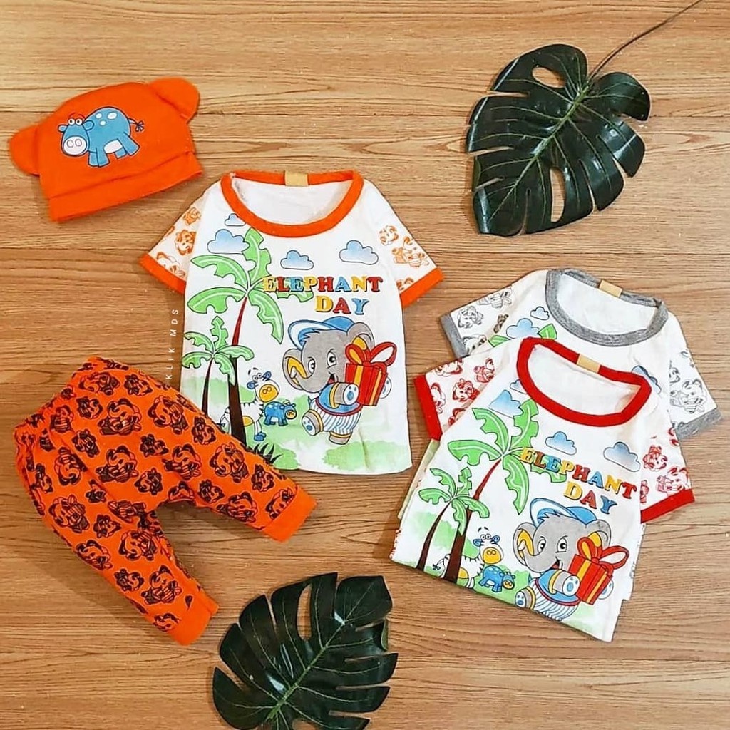 Setelan Baju Bayi Laki - Laki 0-6 Bulan Atasan dan Celana Joger Motif Elephant Day Free Topi