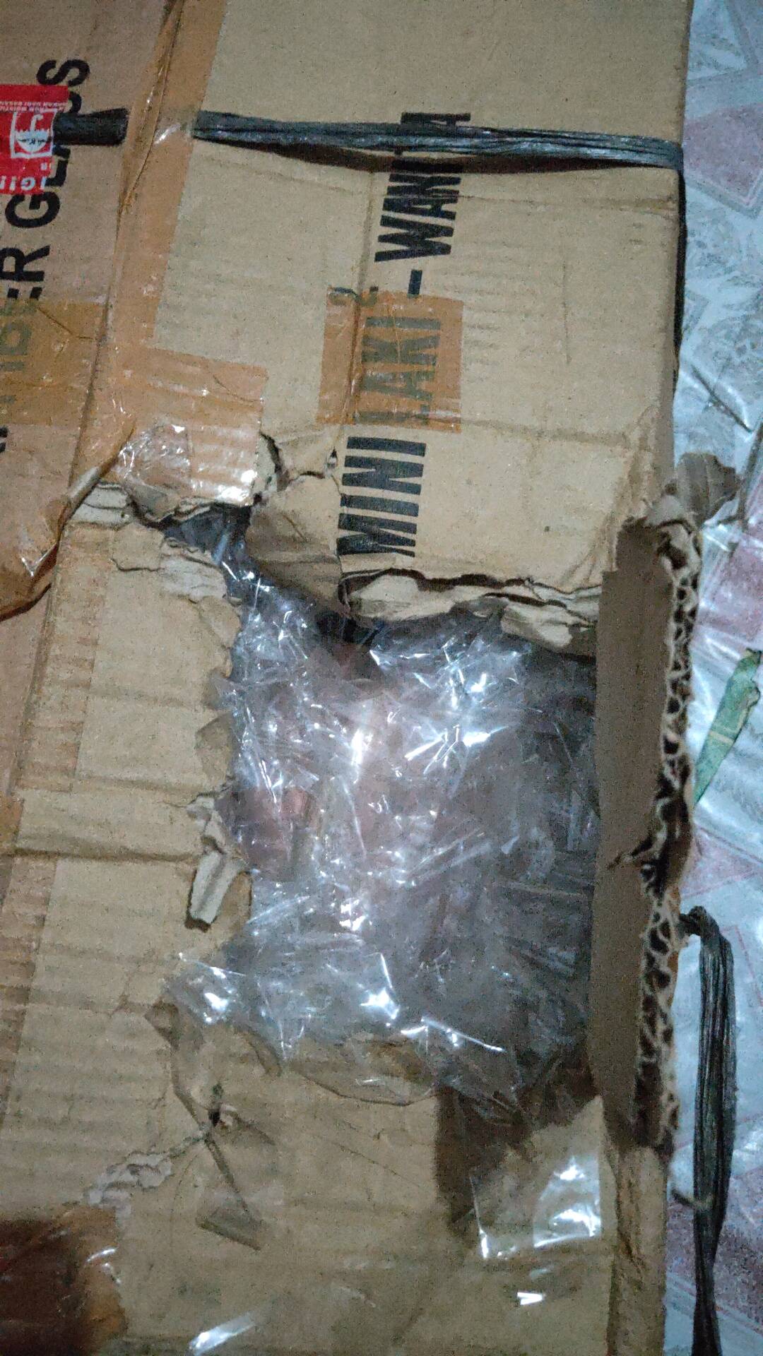 Saranaperaga - Torso Anatomi Manusia Wanita / Perempuan Uk Mini - Alat Peraga Sekolah Ipa