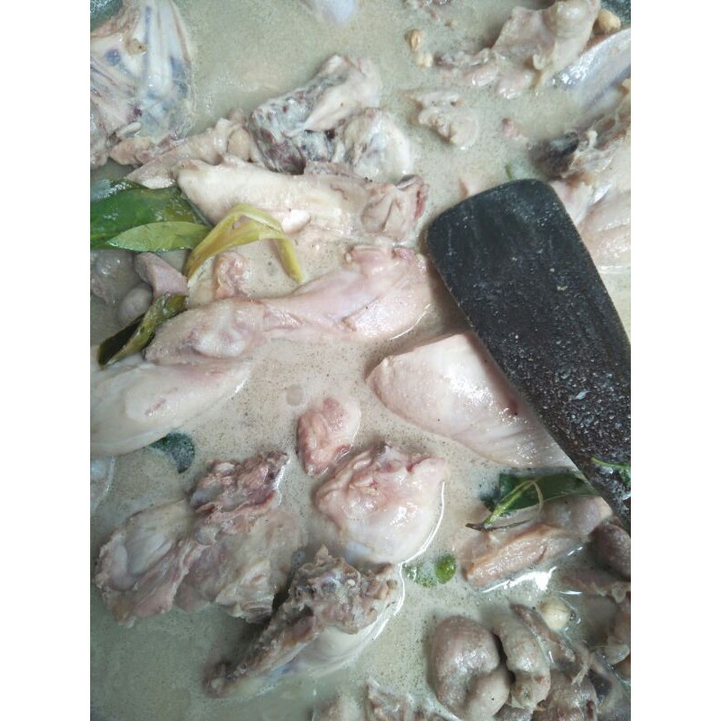 

ayam kampung POP
