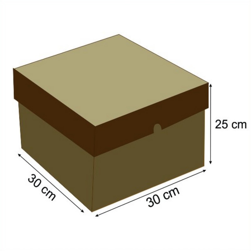 

Karton Box 30x30x25 Kotak Kardus Packaging Kue Tart PER 20PCS