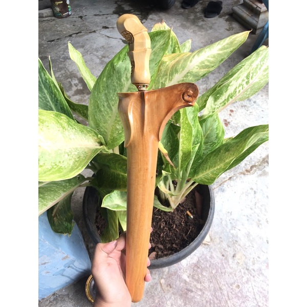 WALIKAT CENDANA JAWA