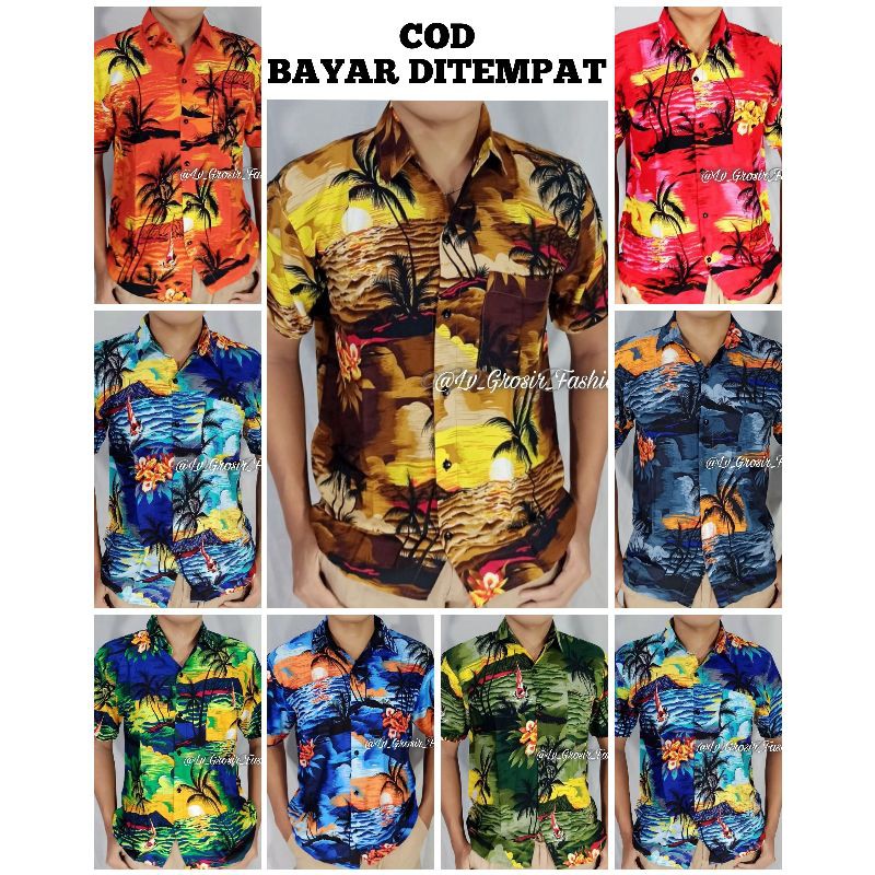 BAJU PANTAI PRIA JUMBO / Kemeja Pria / Kemeja Pantai / Kemeja Hawai / Kemeja Pantai Murah