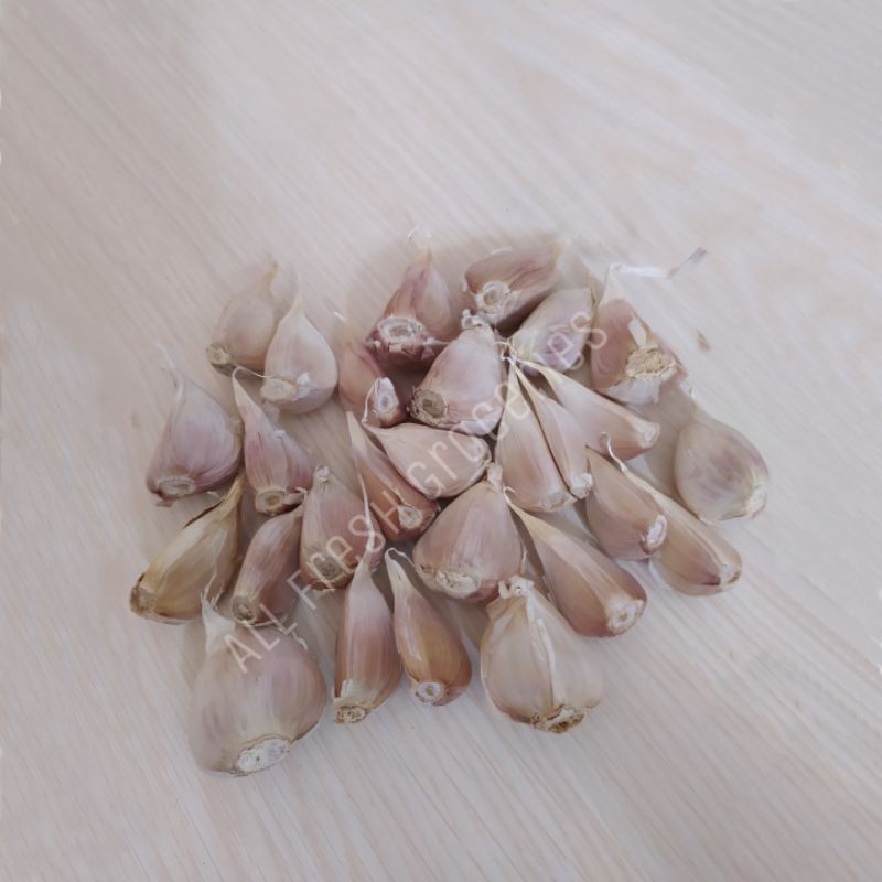 

Bawang putih kating murah premium 150 gr