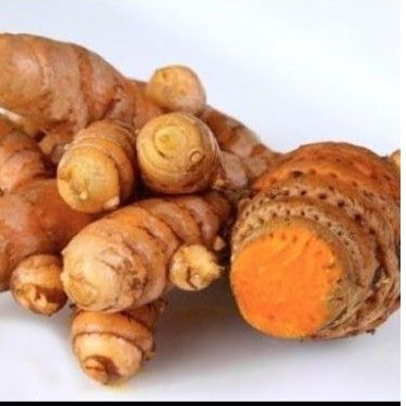 

Temulawak segar langsung dari petani