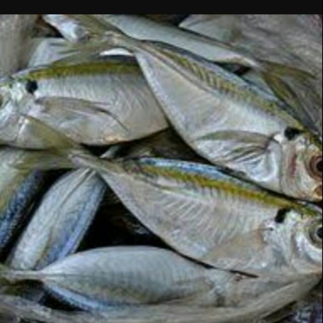 

Ikan selar fresh