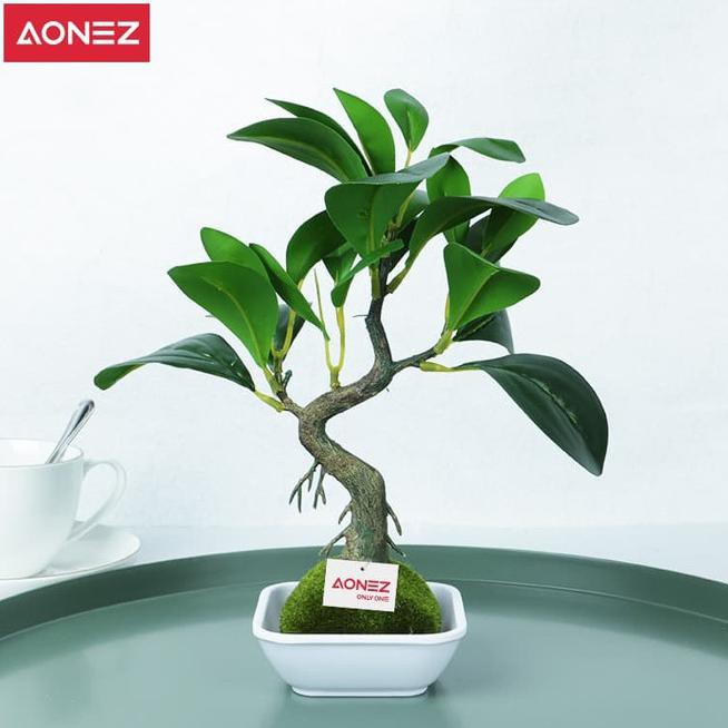 65Yv Aonez Bunga Hias Daun Selada Air Dengan Pot Plastik Tanaman Artifical - Hijau Vxix