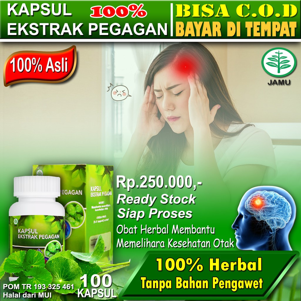 Obat Sakit Kepala Ekstrak Daun Pegagan Antanan Peugaga Ampapaga Pagaga Jalukap Daun Tapak Kuda Shopee Indonesia