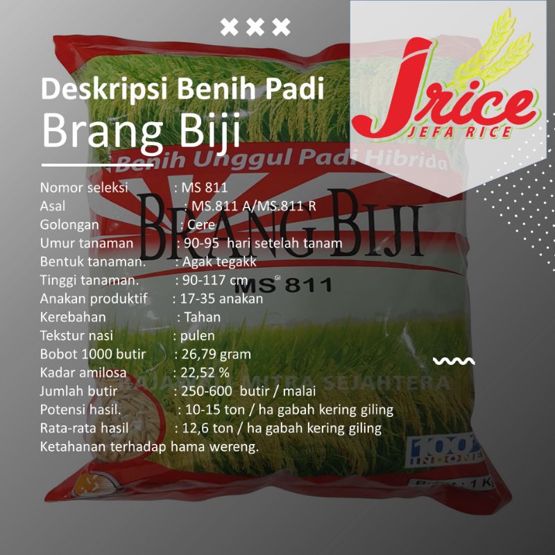BENIH PADI HIBRIDA BRANG BIJI 13 KG