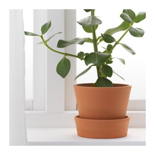 INGEFARA Pot Tanaman Pot tanah liat dengan alas 12 cm INGEFARA Pot Tanaman Pot tanah liat dengan alas 12 cm