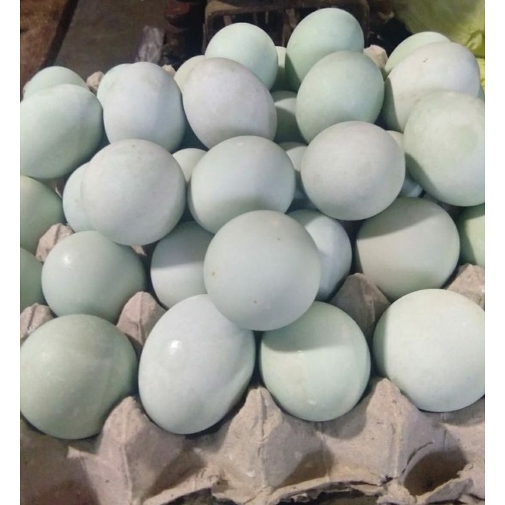 

Telor asin Mateng 2 biji