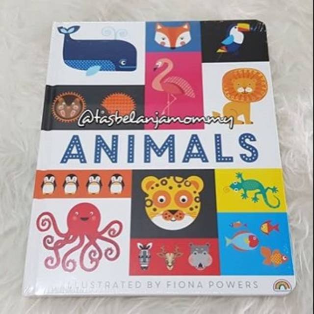 Lift The Flap; Animals