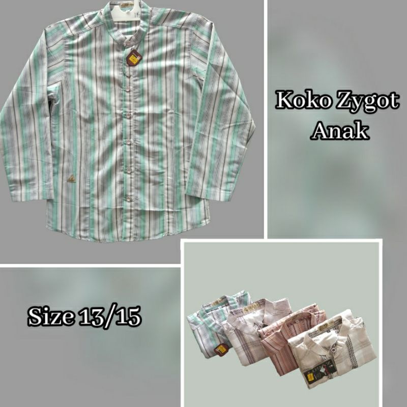 Koko Zygot Anak Lengan Panjang