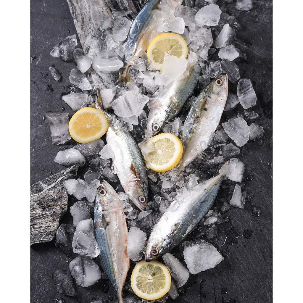 

Ikan Kembung