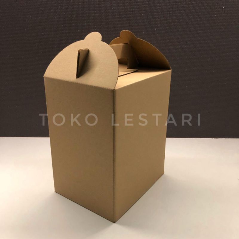 Gable Box / Box Jinjing / Dus take Away / Carry Pack E-Flute 18x14x22 Cm