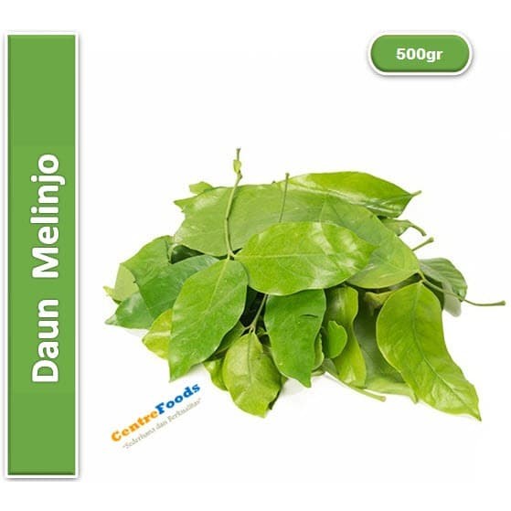 

Sayur Daun Melinjo - Daun Tangkil Fresh | 500gr [ Harga Per 0,5 Kg ]