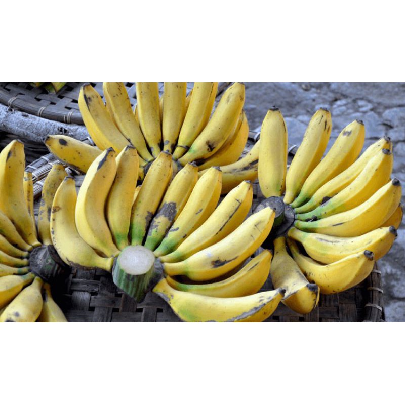 

Pisang Ambon