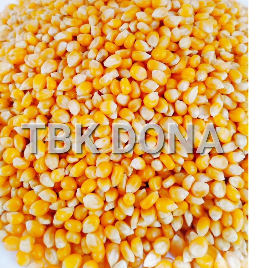 

✔✔FRESH✔✔ Jagung PopCorn 1 kg