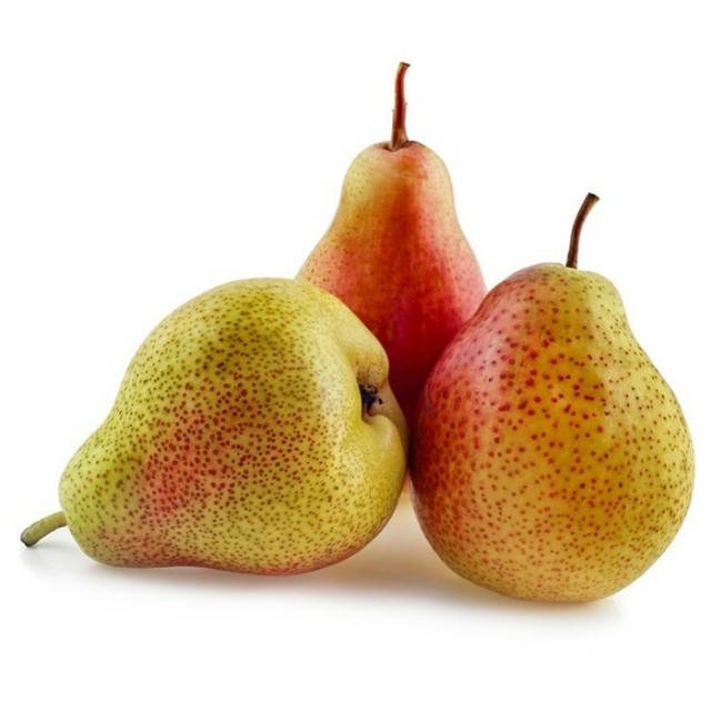 

BUAH PIR FORELI / PEAR FORELI