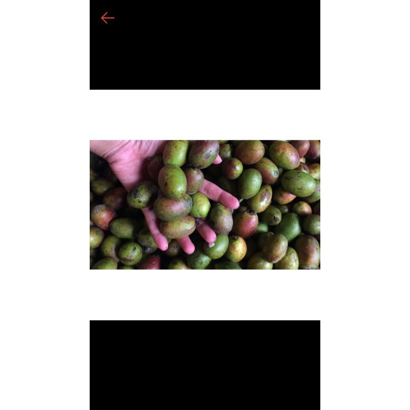

MATOA MANIS PREMIUM 1KG