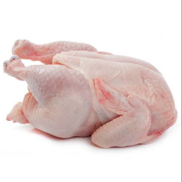 

DAGING AYAM SEGAR 800GRAM