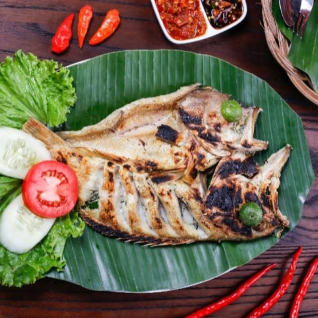 

Ikan kerapu