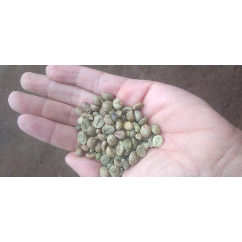

Green Bean kopi robusta lereng wilis Madiun kare 1kg(petik merah)