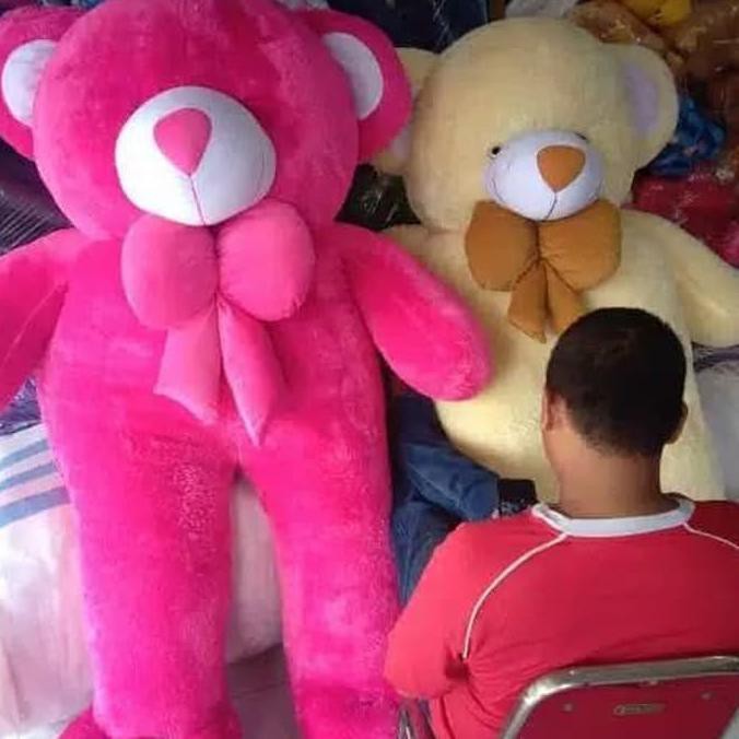 teddy bear paling besar