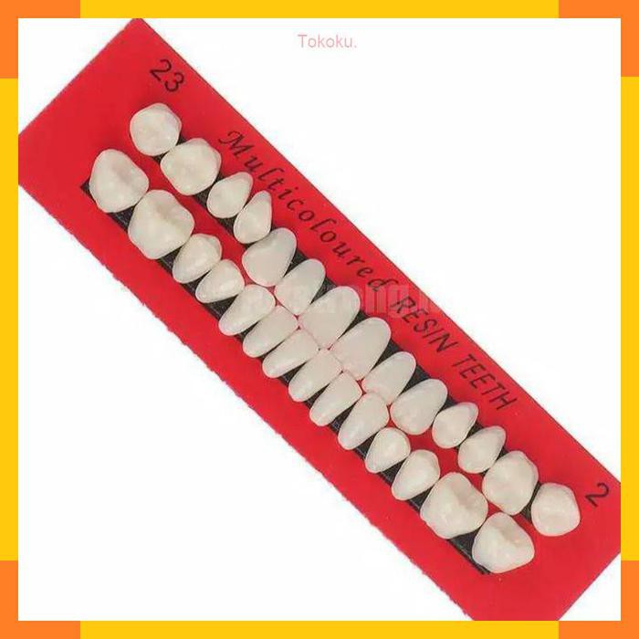 28 Pcs Gigi Palsu Resin untuk Penambal Gigi Ompong