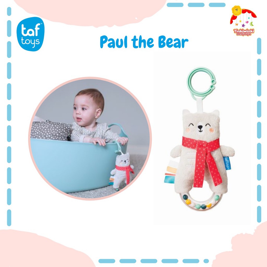 Taf Toys Paul The Bear