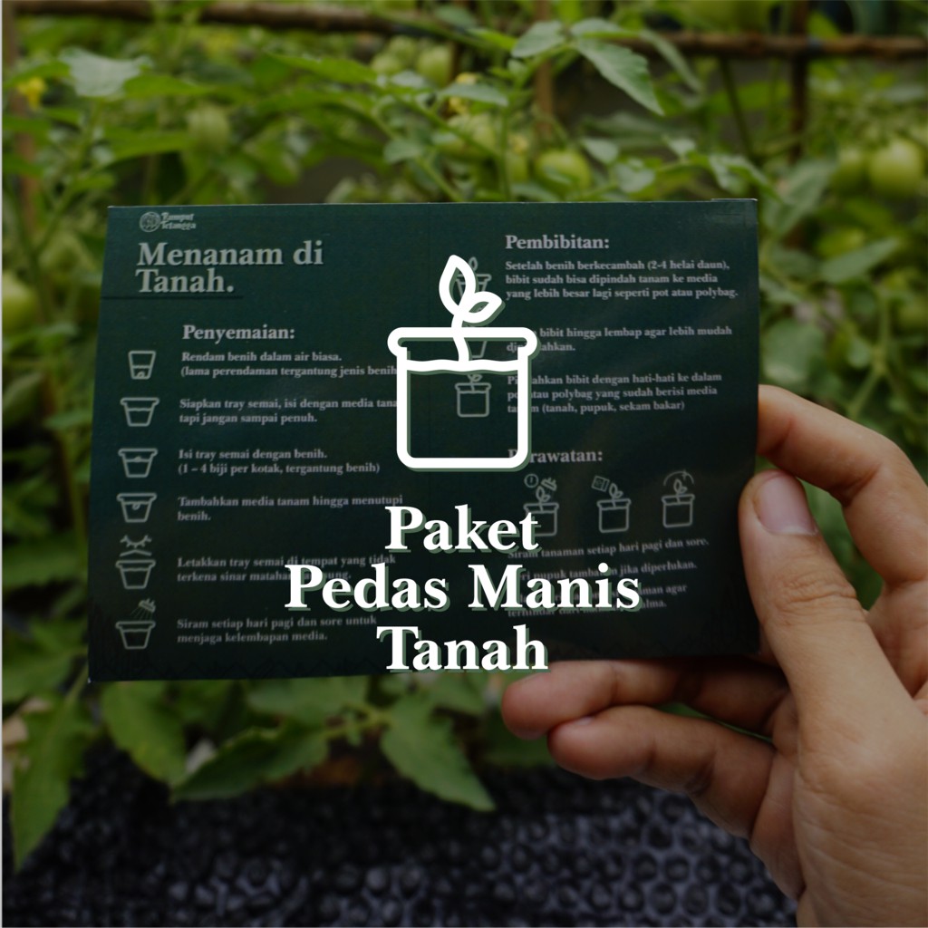 Paket Berkebun: Pedas Manis Tanah. Benih Cabe Hias
