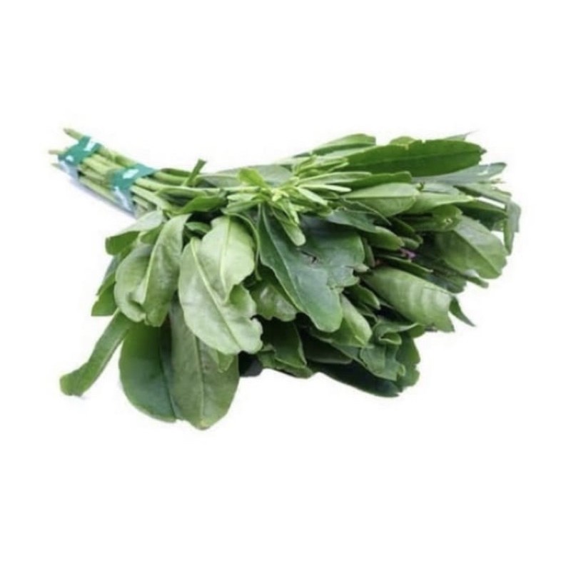 

Sayur daun gingseng segar 500 gr